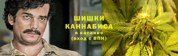 дмт Ельня