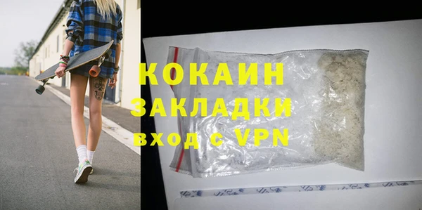 ГАЛЛЮЦИНОГЕННЫЕ ГРИБЫ Дмитриев