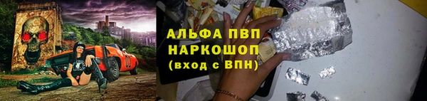 ГАЛЛЮЦИНОГЕННЫЕ ГРИБЫ Дмитриев