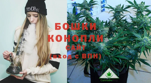 ГАЛЛЮЦИНОГЕННЫЕ ГРИБЫ Дмитриев