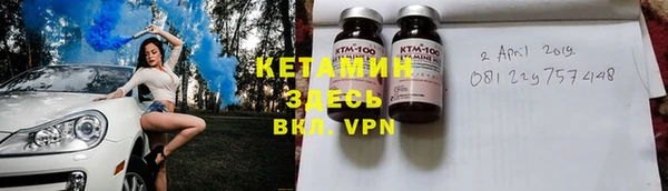 ГАЛЛЮЦИНОГЕННЫЕ ГРИБЫ Дмитриев