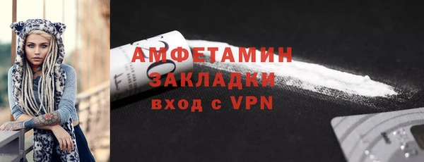 твердый Дмитров