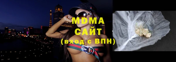 ГАЛЛЮЦИНОГЕННЫЕ ГРИБЫ Дмитриев