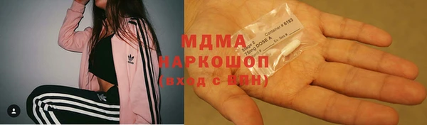 ГАЛЛЮЦИНОГЕННЫЕ ГРИБЫ Дмитриев