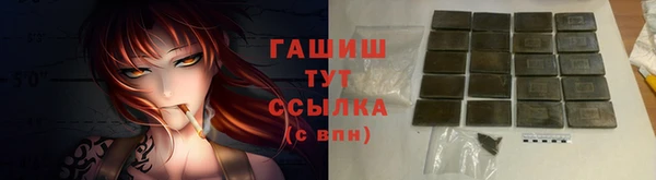 ГАЛЛЮЦИНОГЕННЫЕ ГРИБЫ Дмитриев