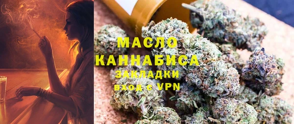 ГАЛЛЮЦИНОГЕННЫЕ ГРИБЫ Дмитриев