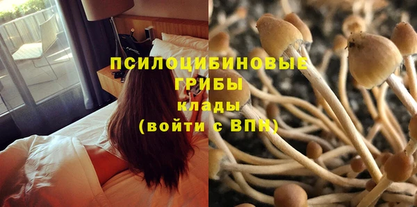 a pvp Дмитровск