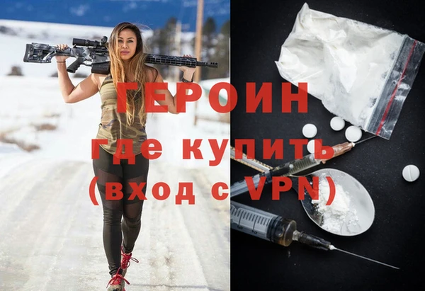 ГАЛЛЮЦИНОГЕННЫЕ ГРИБЫ Дмитриев