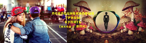 твердый Дмитров