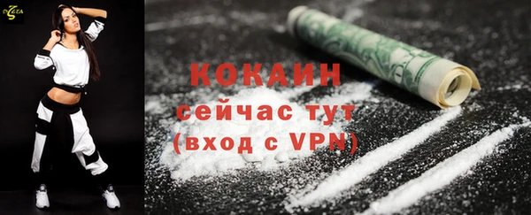 ГАЛЛЮЦИНОГЕННЫЕ ГРИБЫ Дмитриев