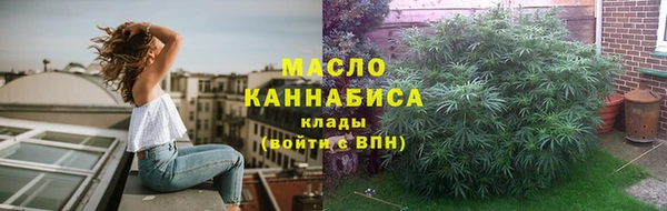 твердый Дмитров