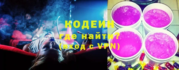 твердый Дмитров