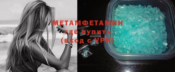 ГАЛЛЮЦИНОГЕННЫЕ ГРИБЫ Дмитриев