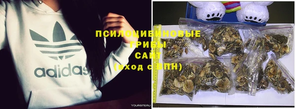 a pvp Дмитровск