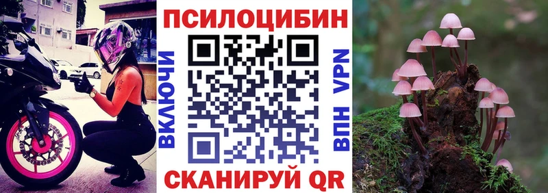 купить   Новое Девяткино  Псилоцибиновые грибы ЛСД 